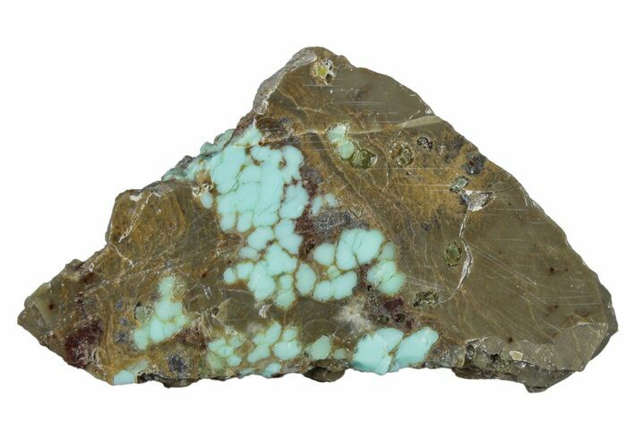 Polished Turquoise Slab - Number Mine, Carlin, NV #292315